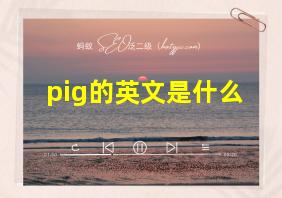 pig的英文是什么