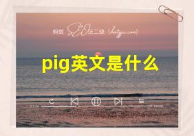 pig英文是什么