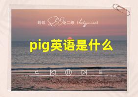 pig英语是什么