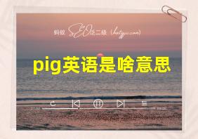 pig英语是啥意思