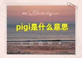 pigi是什么意思