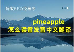 pineapple怎么读音发音中文翻译