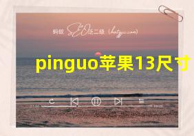 pinguo苹果13尺寸