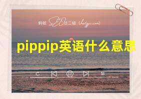 pippip英语什么意思