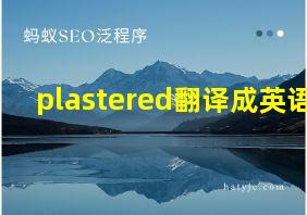 plastered翻译成英语