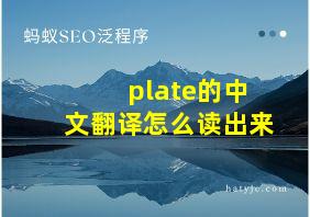 plate的中文翻译怎么读出来