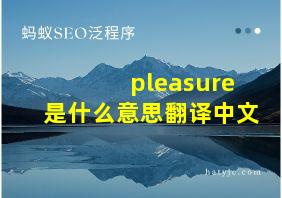 pleasure是什么意思翻译中文