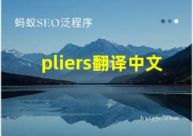 pliers翻译中文