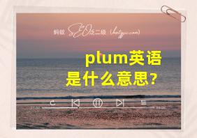 plum英语是什么意思?