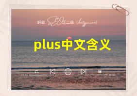 plus中文含义