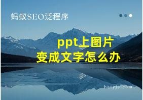 ppt上图片变成文字怎么办