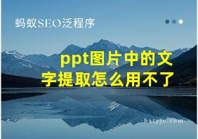 ppt图片中的文字提取怎么用不了