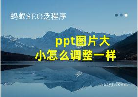 ppt图片大小怎么调整一样