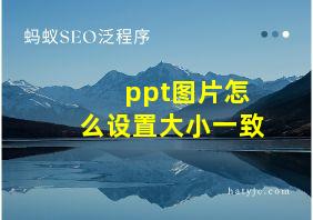 ppt图片怎么设置大小一致