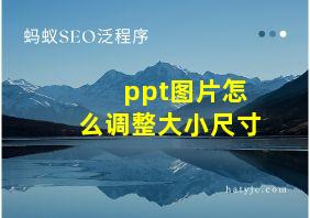 ppt图片怎么调整大小尺寸