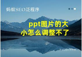 ppt图片的大小怎么调整不了