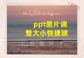 ppt图片调整大小快捷键