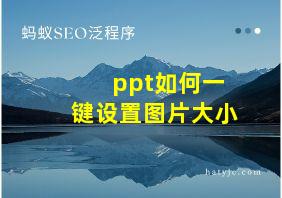 ppt如何一键设置图片大小