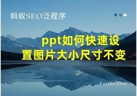 ppt如何快速设置图片大小尺寸不变