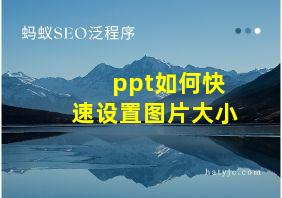 ppt如何快速设置图片大小