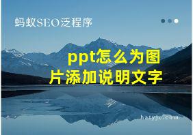 ppt怎么为图片添加说明文字