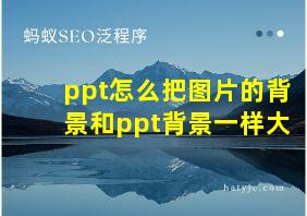 ppt怎么把图片的背景和ppt背景一样大