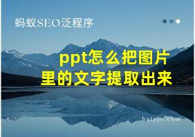 ppt怎么把图片里的文字提取出来