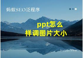 ppt怎么样调图片大小