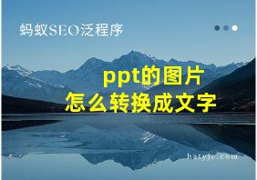 ppt的图片怎么转换成文字