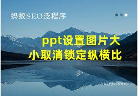 ppt设置图片大小取消锁定纵横比