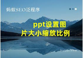 ppt设置图片大小缩放比例