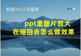 ppt里图片放大在缩回去怎么做效果