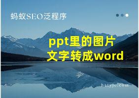 ppt里的图片文字转成word