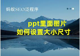 ppt里面图片如何设置大小尺寸