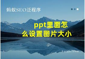 ppt里面怎么设置图片大小