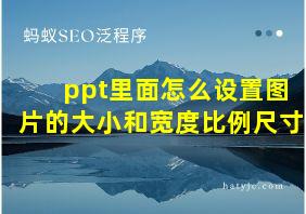 ppt里面怎么设置图片的大小和宽度比例尺寸