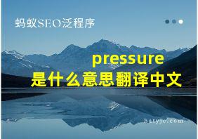 pressure是什么意思翻译中文