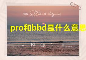 pro和bbd是什么意思