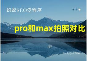 pro和max拍照对比