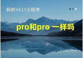 pro和pro+一样吗