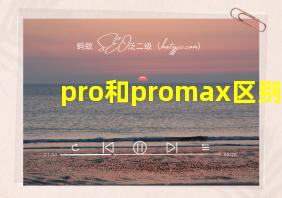 pro和promax区别