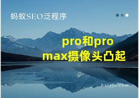 pro和promax摄像头凸起