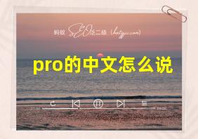 pro的中文怎么说