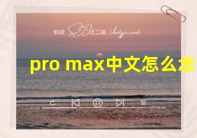 pro max中文怎么念