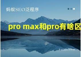 pro max和pro有啥区别