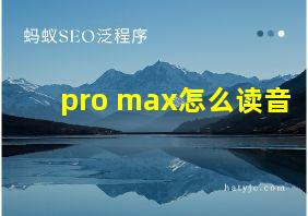 pro max怎么读音