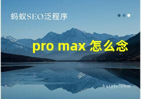 pro max 怎么念