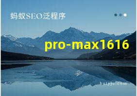 pro-max1616