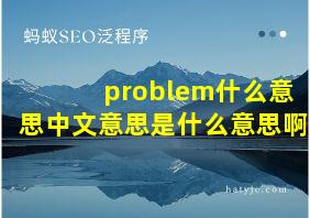 problem什么意思中文意思是什么意思啊