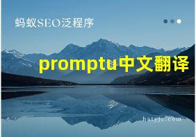 promptu中文翻译